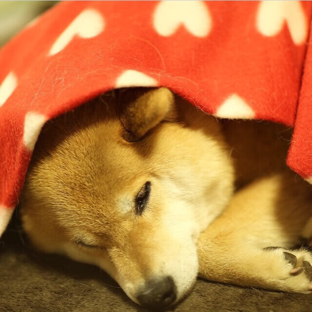 开yun官网-“意甲新战术火力全开，球队攻势如潮”，意甲前瞻